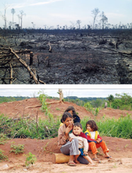 In San Pedro, Paraguay, wurden die Wälder großflächig abgebrannt, um
Platz zu schaffen für riesige Soja-Plantagen. Polizei und Soja-Farmer
haben die Familien von ihrem Land vertrieben und hilflos zurückgelassen In San Pedro, Paraguay, wurden die Wälder großflächig abgebrannt, um
Platz zu schaffen für riesige Soja-Plantagen. Polizei und Soja-Farmer
haben die Familien von ihrem Land vertrieben und hilflos zurückgelassen
