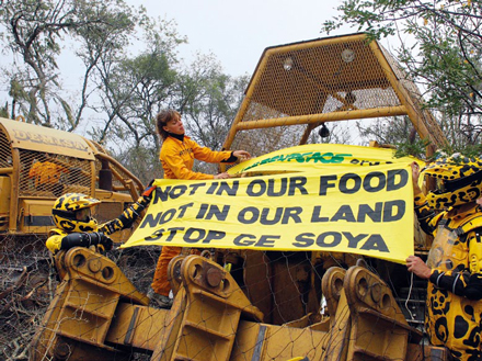 Greenpeace-Aktivisten blockieren Bulldozer in Argentinien. Sie wollen verhindern, dass Monsanto den Wald für sein Gen-Soja abholzen lässt