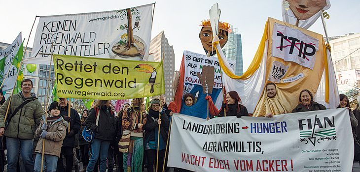 Spendenprojekt Regenwaldschutz