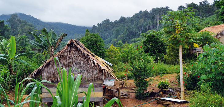 Spendenprojekt Sulawesi