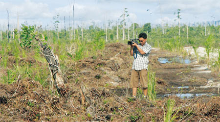 Udin, Mitarbeiter von Save our Borneo, filmt das Regenwald-Massaker, illegal angerichtet vom Wilmar-Konzern