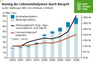 Anstieg der Lebensmittelpreise durch Biosprit. Quelle: Welthunger-Hilfe Anstieg der Lebensmittelpreise durch Biosprit. Quelle: Welthunger-Hilfe
