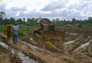 Ein Bulldozer bei der Zerstörung des Tanoé-Sumpfwalds.