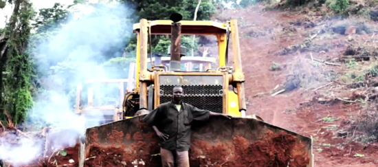 Bulldozer in Kalangala, Uganda, bei der Anlage einer Palmöl-Plantage.