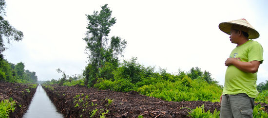 Matek (SADIA) an einem Entwässerungskanal in Torfgebiet