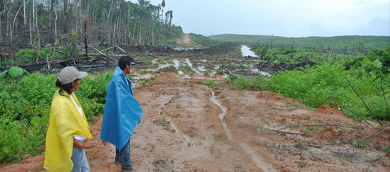 Zwei peruanische Bauern blicken auf eine Rodung, auf der Ölpalmen gepflanzt werden sollen.