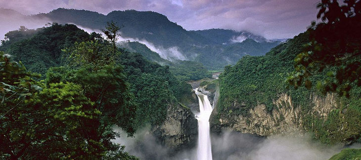 EL PETROLEO EN LA SELVA el petroleo en la selva: