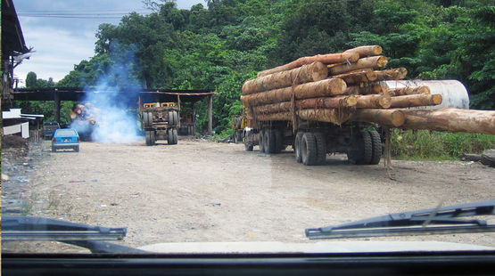 Ein mit Tropenholz beladener LKW im malaysischen Bundesstaat Sabah