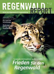 Cover Regenwald Report 01/2014