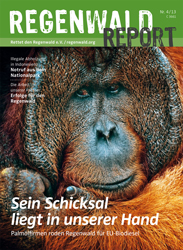 Cover Regenwald Report 04/2013