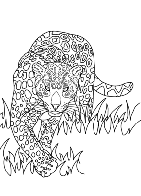 der regenwald-shop - postkarte zum ausmalen - jaguar