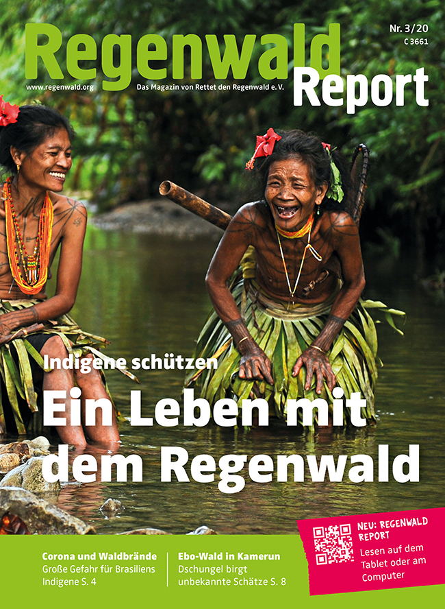 Der Regenwald-Shop - Regenwald Report 3 / 2020 Kostenlos - Rettet den
