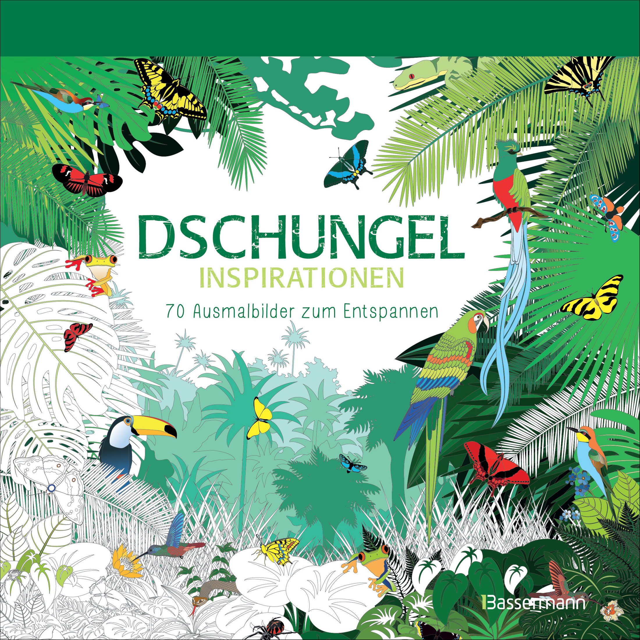 Ausmalbild regenwald